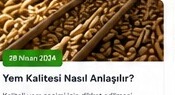 Yem Kalitesi Nasıl Anlaşılır?