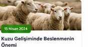 Kuzu Gelişiminde Beslenmenin Önemi